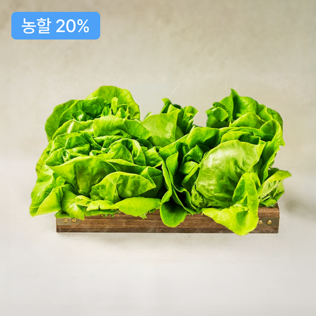 유러피안 샐러드 버터헤드 1kg