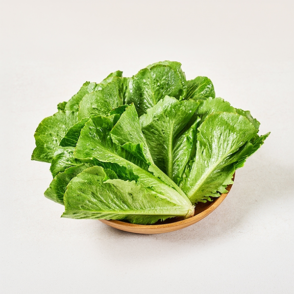 유러피안 샐러드 로메인 1kg