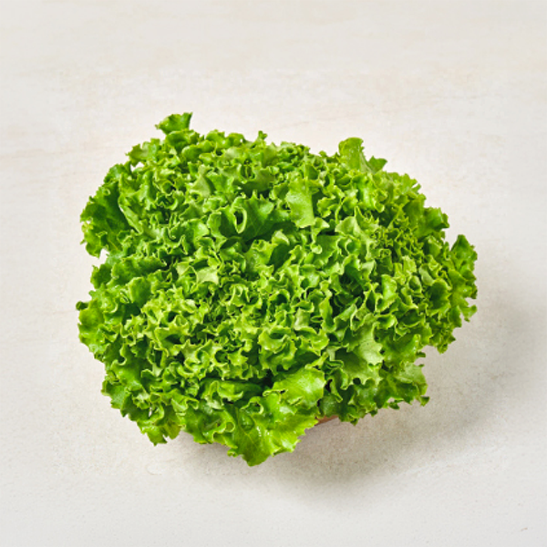유러피안 샐러드 카이피라 1kg