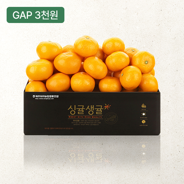 [제주위미농협] 싱귤생귤 12birx 하우스감귤 2.5kg(로얄과)