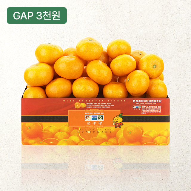 [제주위미농협] 문주왕 11brix 하우스감귤 2.5kg(로얄과)