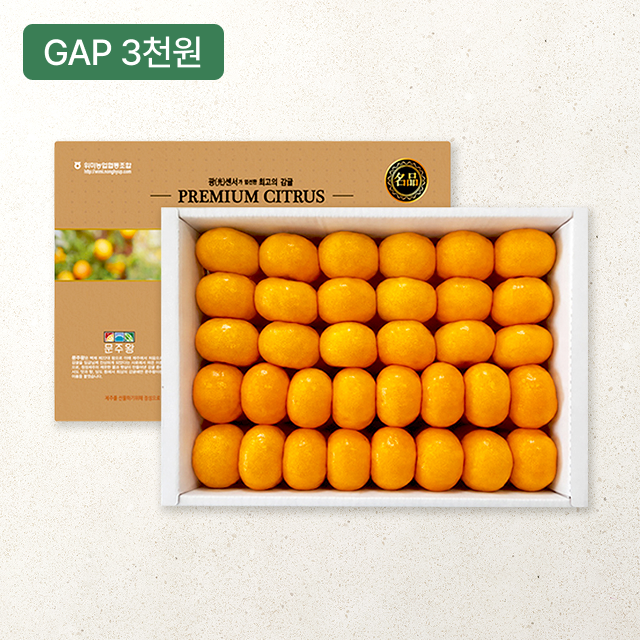 [제주위미농협] 문주왕 11brix 하우스감귤 3kg(로얄과)