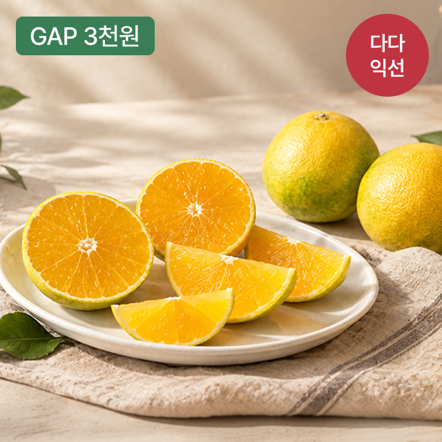 [제주위미농협] 선물용 프리미엄 황금향 3kg/ 5kg